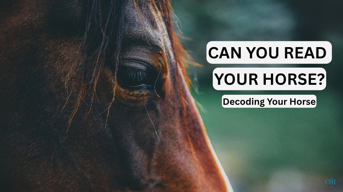 Decoding Your Horse - Online Course