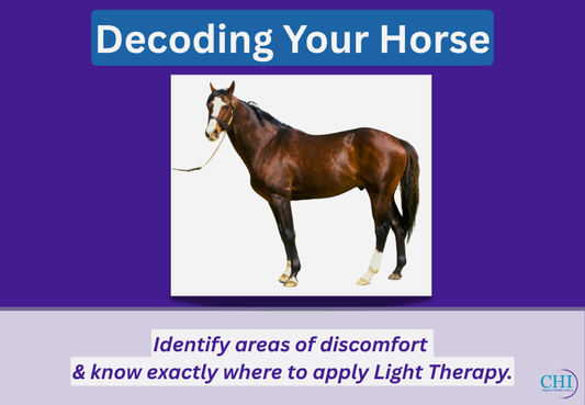 Decoding Your Horse - Online Course